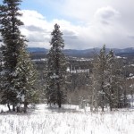 Hiking Fullerton Loop