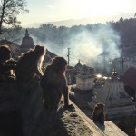 Busy Kathmandu